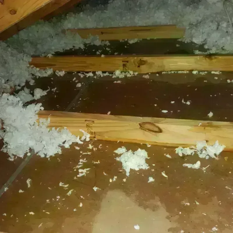 Attic Water Damage in Bay Saint Louis, MS